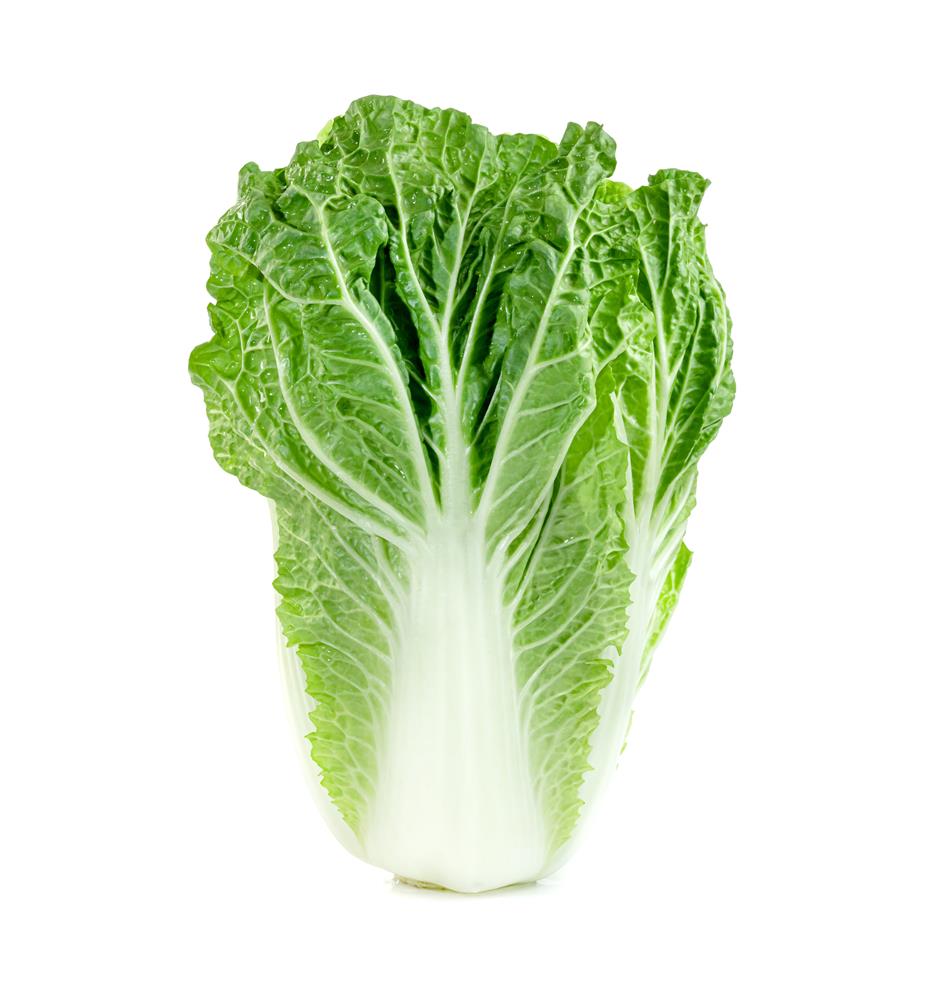 Chinakohl, 1 x 1 Stück