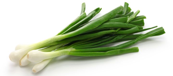 Lauchzwiebeln, 1 x 1 Bund