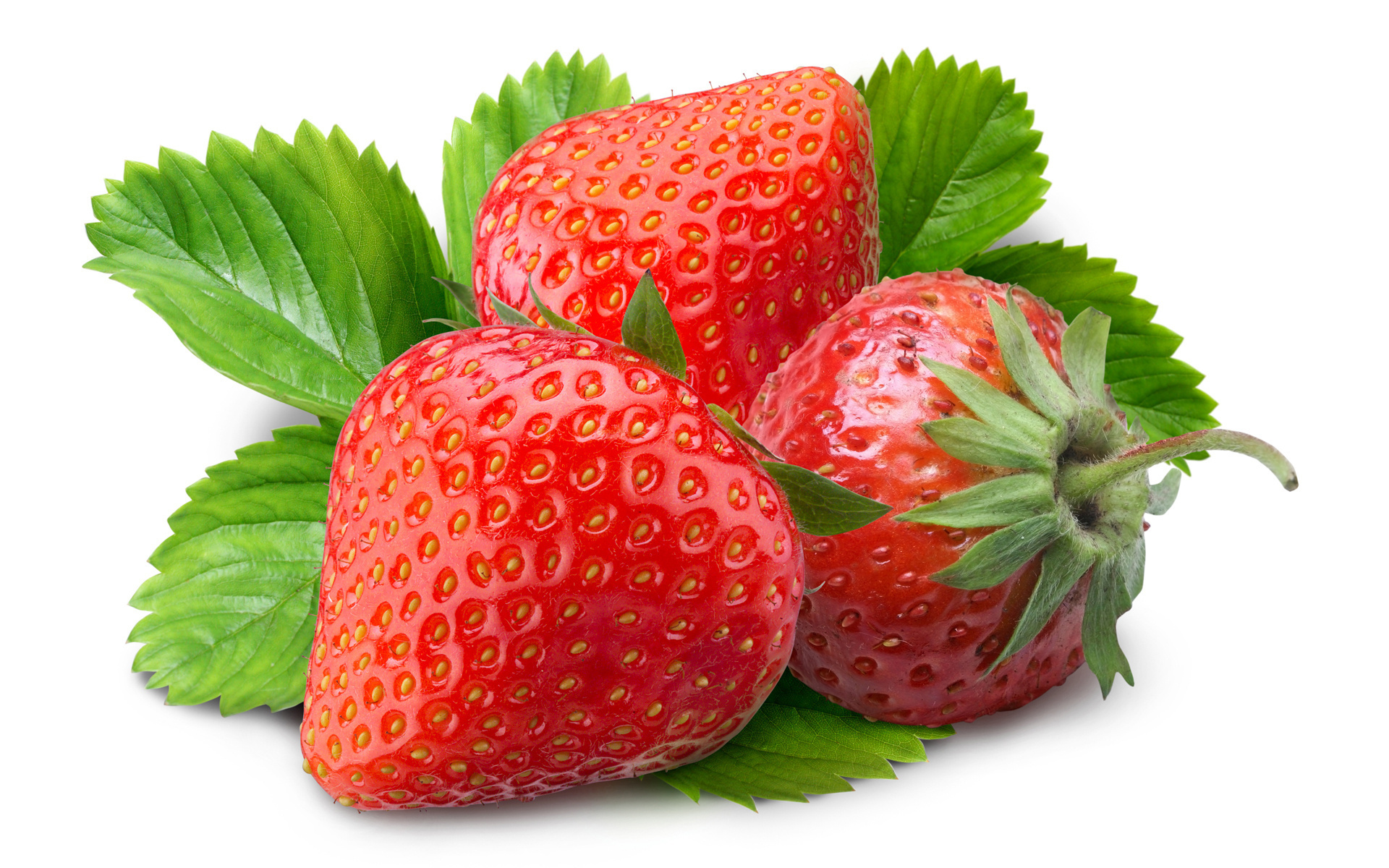 Erdbeeren, 1 x 1 Schale 500 g