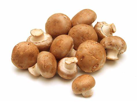 Champignon Braun, 1 x 1 Schale à 400g