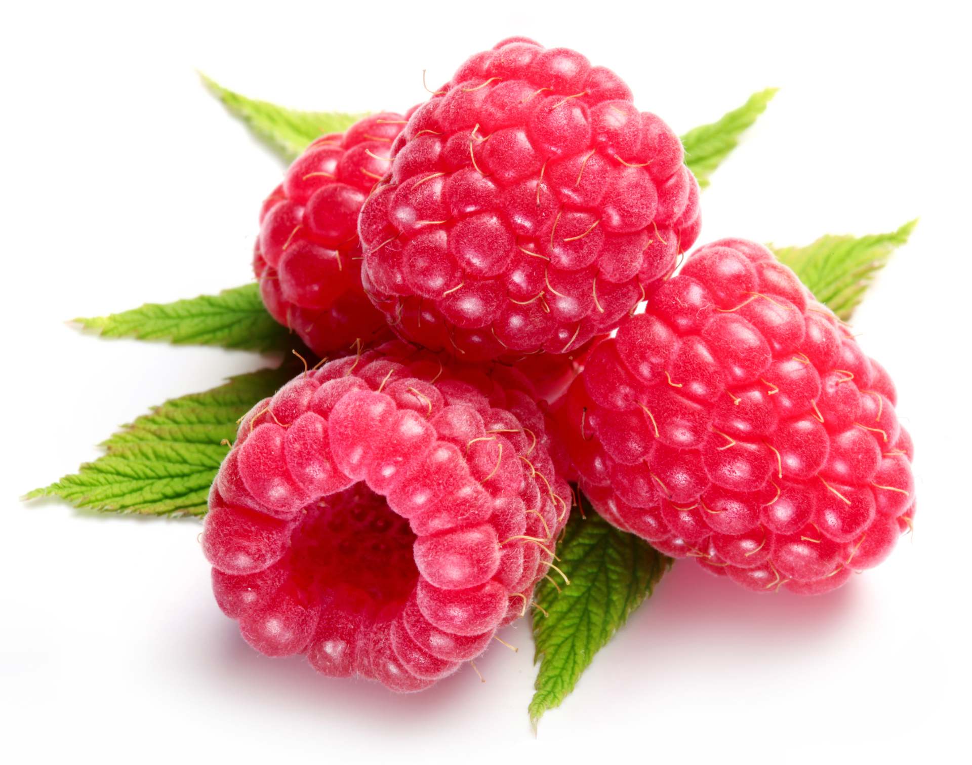 Himbeeren, 1 x 1 Schale 250 g