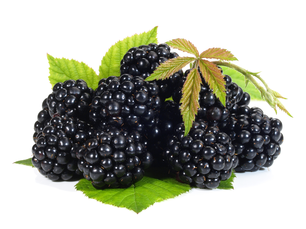 Brombeeren, 1 x 250 g Schale