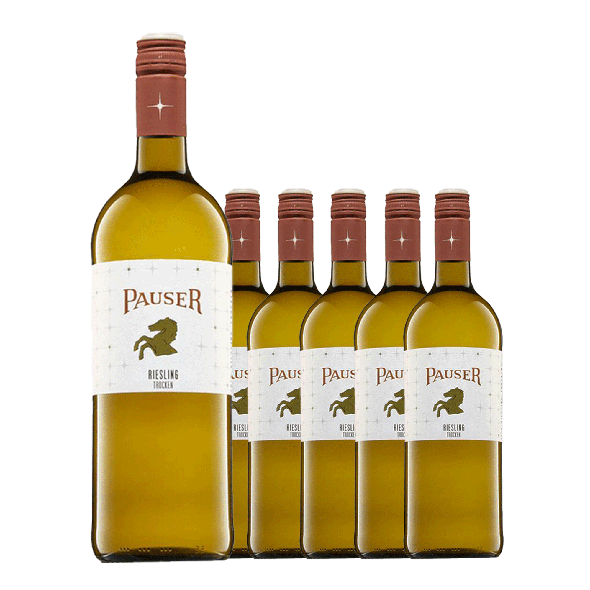 Weingut Pauser - Riesling, trocken, 2023, 1 Karton à 6 x 1l Flaschen